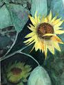 Sunflowers 4